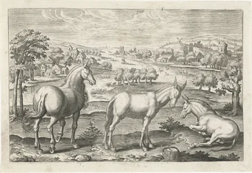 Pferd und Esel