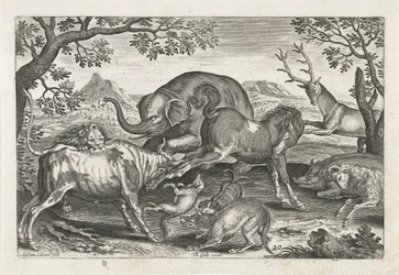 Kämpfende Tiere
Vierbeinige Tiere (Serientitel)
Animalivm Qvaddrvpedvm (Serientitel)