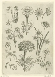 Verschiedene Blumen, Veilchen und Narzissen