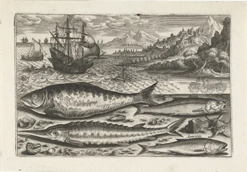 Vier Fische am Strand