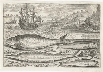 Vier vissen auf dem Strand