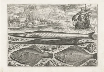 Vier Fische am Strand