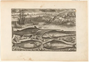 Vier Fische am Strand