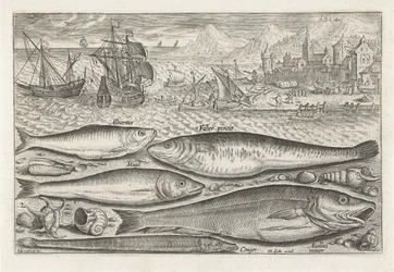 Fünf Fische am Strand