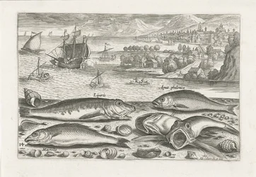 Fünf Fische am Strand