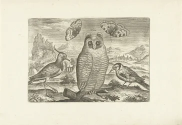 Vögel und Schmetterlinge in einer Landschaft