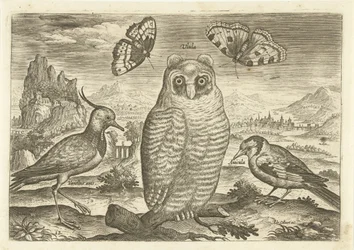 Vögel und Schmetterlinge in einer Landschaft