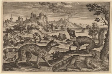 Wiesel und Eichhörnchen