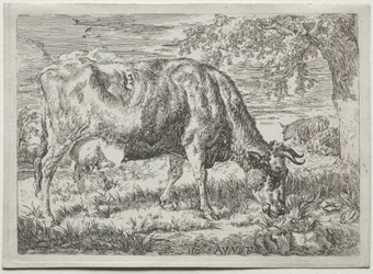 Kuh und zwei Schafe am Fuße eines Baumes, 1670