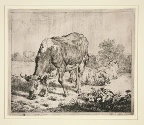 Le Boeuf Pie et les trois moutons