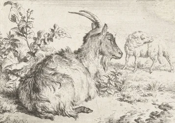 Liegende Ziege, 1670