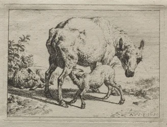 Das Mutterschaf und zwei Lämmer