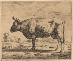 Zwei Kühe und ein Schaf