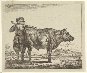 Junger Hirte mit einem Stier, aus Verschiedene Tiere