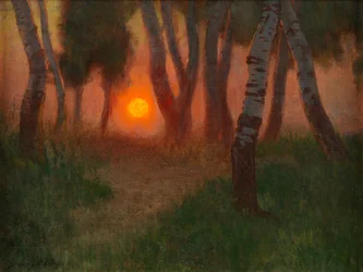 Sonnenuntergang in einer bewaldeten Landschaft