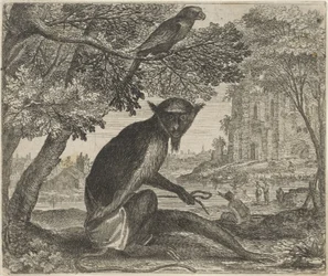 Fabel von dem Papagei und dem Affen