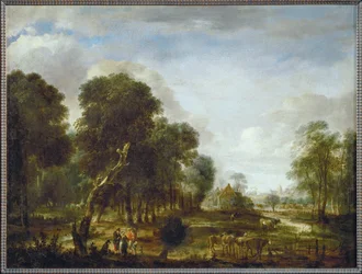 Wasserreiche Waldgegend