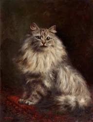 Perserkatze, um 1908-20