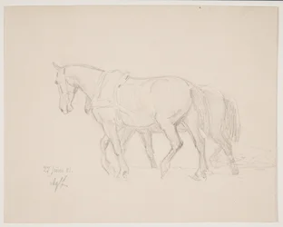Zu Pferd