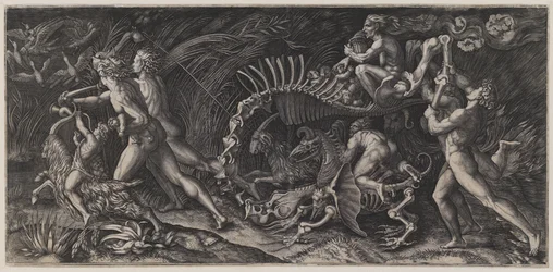 Das Aas ("Lo Stregozzo")