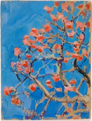 Blühender Korallenbaum