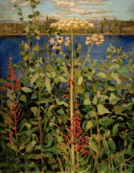 Wilde Angelika