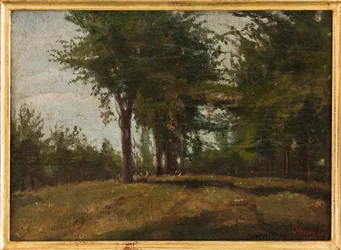 Das bepflanzte Feld