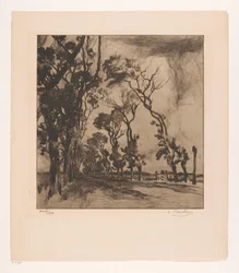 Landschaft mit Allee Richtung Ostende