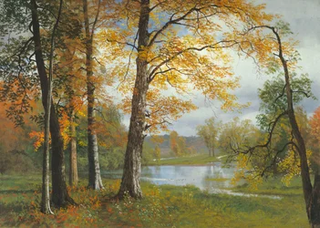 Ein Ruhiger See