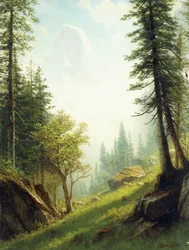 Unter den Berner Alpen