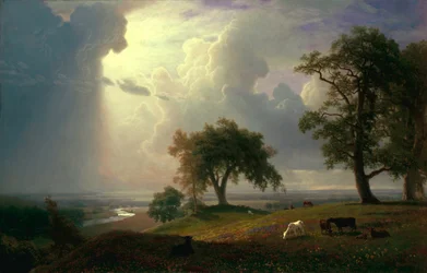 Frühling in Kalifornien