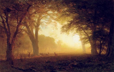 Goldenes Licht von Kalifornien