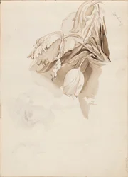 Tulpen