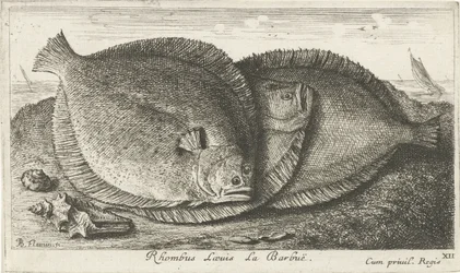 Drei Fische am Strand