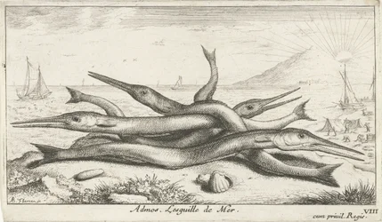 Fische am Strand