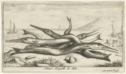 Fische am Strand