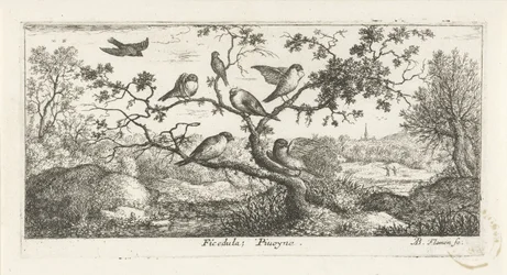 Landschaft mit Schnepfen (Vogelbuch)