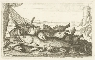 Fischfang mit Einsiedlerkrebs