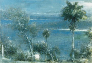 Mondschein in Port Antonio, Jamaika
