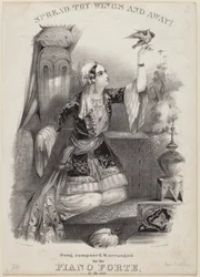 Breite deine Flügel aus und flieg!