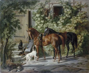 Pferde an der Veranda