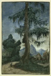 Landschaft mit einer Fichte, ca. 1522
