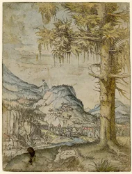 Große Fichte