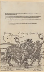 Acrimonia, Blatt 6 der Folge „Der Große Triumphwagen“