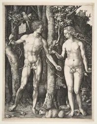 Adam und Eva, 1504