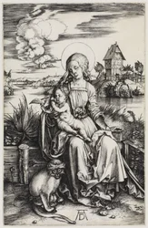 Die Madonna mit der Meerkatze