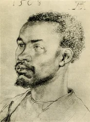 Kopf eines Schwarzen Afrikaners