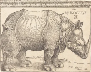 Das Nashorn