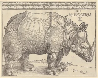 Nashorn