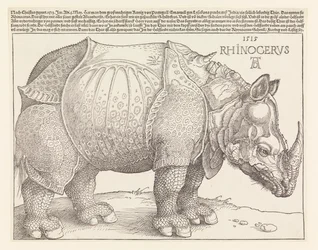 Das Nashorn
